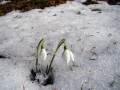  GHIOCEI, februarie - Foto von Ciri Turcanu