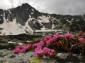 RETEZAT, ROMANIA - 06.2013 - © Iulian Panescu