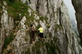 KÖNIGSTEINGEBIRGE- Anghelide