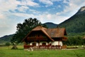 PIATRA CRAIULUI -auf dem Weg zum "Plaiul Foii"