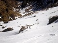 BUCEGI - Valea Cerbului