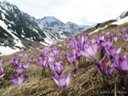 © Iulian Panescu - Valea Balii