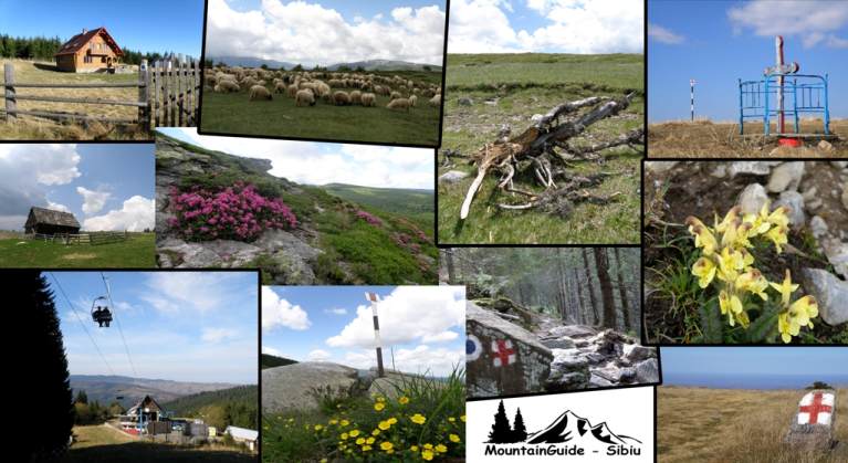 romaniantour.eu - Tura complexa Cindrel Si Fagaras - ziua 2