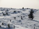 Tourenskifahrten in die Fagaras- und Zibingebirge