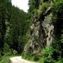 Fischertour in Rumänien - Cheile Cibinului
