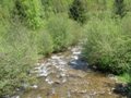 Fischertour in Rumänien -  Raul Mic (der kleine Fluss)