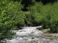 Fischertour in Rumänien -  Raul Mic (der kleine Fluss)