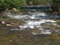 Fischertour in Rumänien -  Raul Mic (der kleine Fluss)