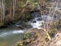 Fischertour in Rumänien -  Raul Mic (der kleine Fluss)