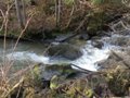 Fischertour in Rumänien -  Raul Mare (der große Fluss)