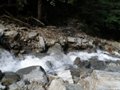 Fischertour in Rumänien -  das Tal Valea Arpasului