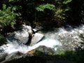 Fischertour in Rumänien -  das Tal Valea Arpasului