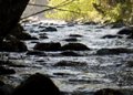 Fischertour in Rumänien -  das Tal Valea Laitei