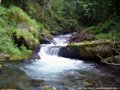 Fischertour in Rumänien -  das Tal Valea Laitei