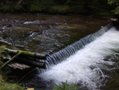 Fischertour in Rumänien -  das Tal Valea Sadului