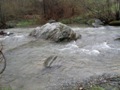 Fischertour in Rumänien -  das Tal Valea Porumbacului