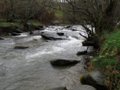 Fischertour in Rumänien -  das Tal Valea Porumbacului