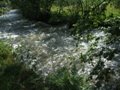 Fischertour in Rumänien -  das Tal Valea Sadului