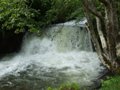 Fischertour in Rumänien -  das Tal Valea Sadului