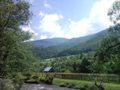 Fischertour in Rumänien -  das Tal Valea Sadului