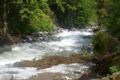 Fischertour in Rumänien -  das Tal Valea Avrigului