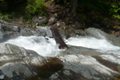 Fischertour in Rumänien -  das Tal Valea Avrigului