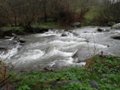 Fischertour in Rumänien -  das Tal Valea Avrigului