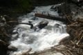 Fischertour in Rumänien -  das Tal Valea Arpasului