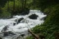 Fischertour in Rumänien -  das Tal Valea Arpasului