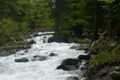 Fischertour in Rumänien -  das Tal Valea Arpasului