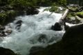 Fischertour in Rumänien -  das Tal Valea Arpasului