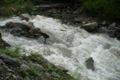 Fischertour in Rumänien -  das Tal Valea Arpasului