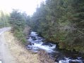 Fischertour in Rumänien -  das Tal Valea Sadului