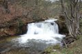 Fischertour in Rumänien -  das Tal Valea Sadului