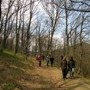 ROMANIAN TOUR - Marginimea Sibiului