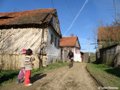 Mountainbiking in Romania - © Iulian Panescu