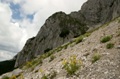 Piatra Craiului - Marele Grohotis