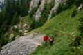 Piatra Craiului - pe traseu
