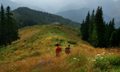 Piatra Craiului  - Poiana Tamasel