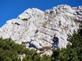 Poiana Inchisa a Pietrei Craiului 1980 m