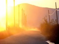 Telegraph road