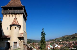 &copy; Petre Dadu - Biserica fortificata de la Biertan
