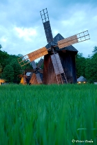 &copy; Petre Dadu - Moara, Muzeul &icirc;n aer liber